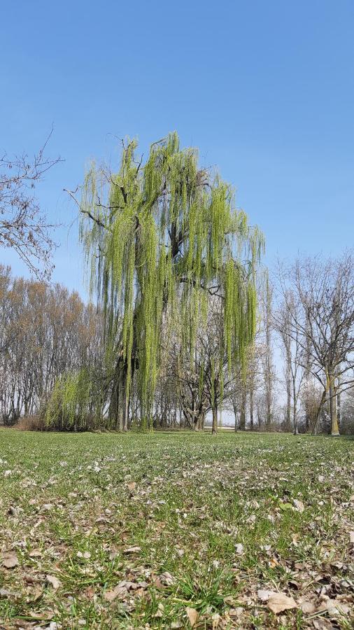 La Locanda Nel Frutteto Rovereto sulla Secchia Exterior foto